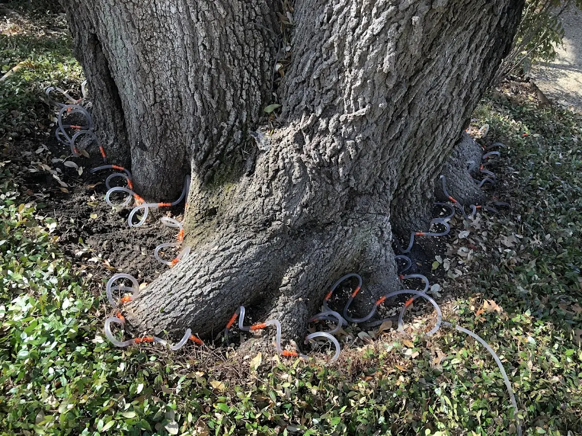 Detailed Shrub and Hedge Trimming job site in Wilburton